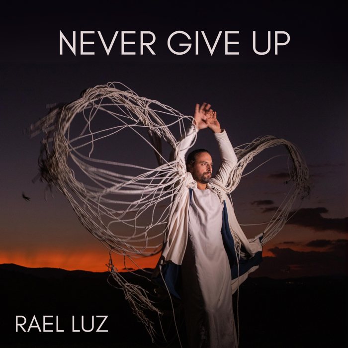 Capa de Never Give Up